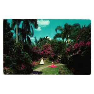 Tropical Gardens Florida Postcard Vintage Lusterchrome Tichnor Bros Color Scenic